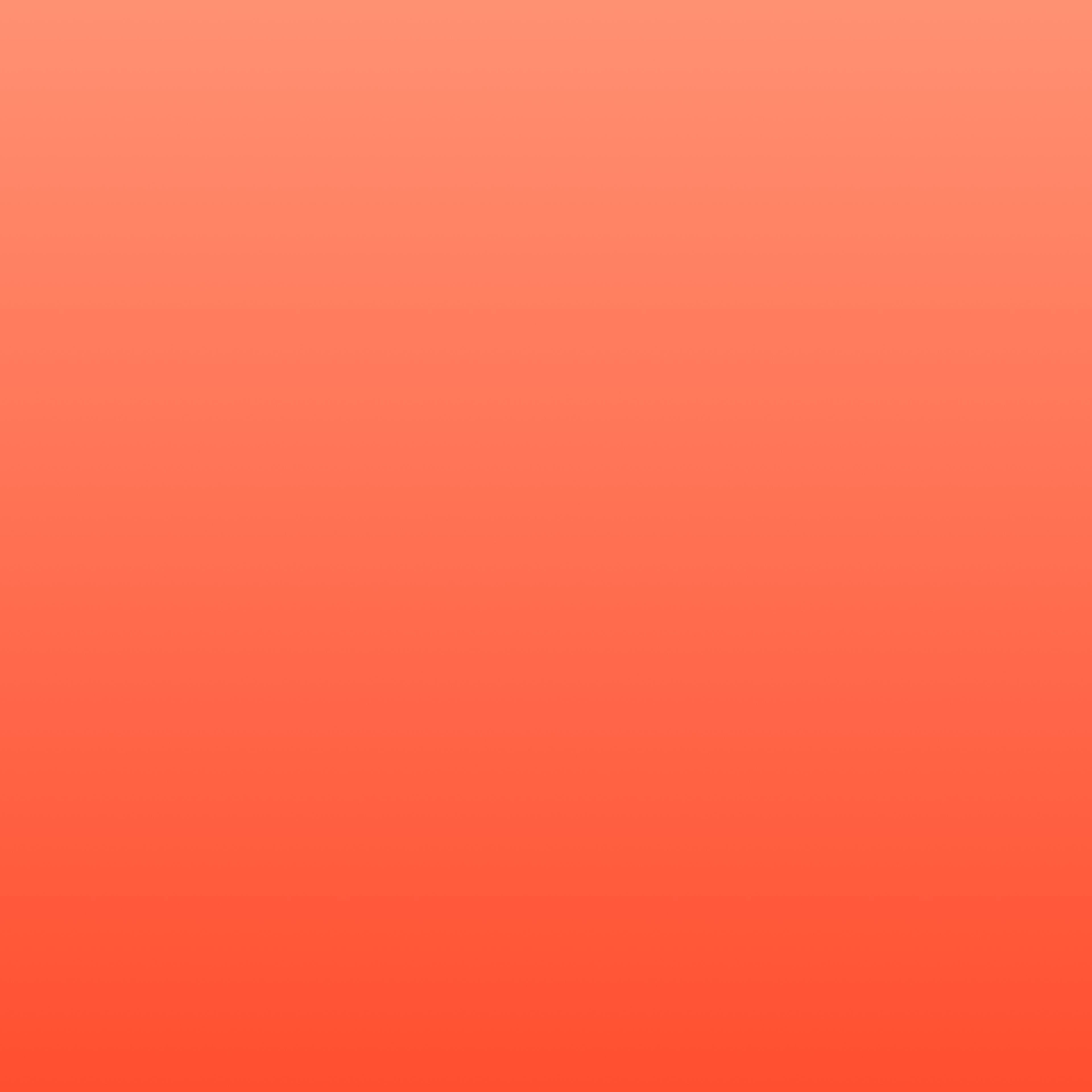 Header Decorative Image