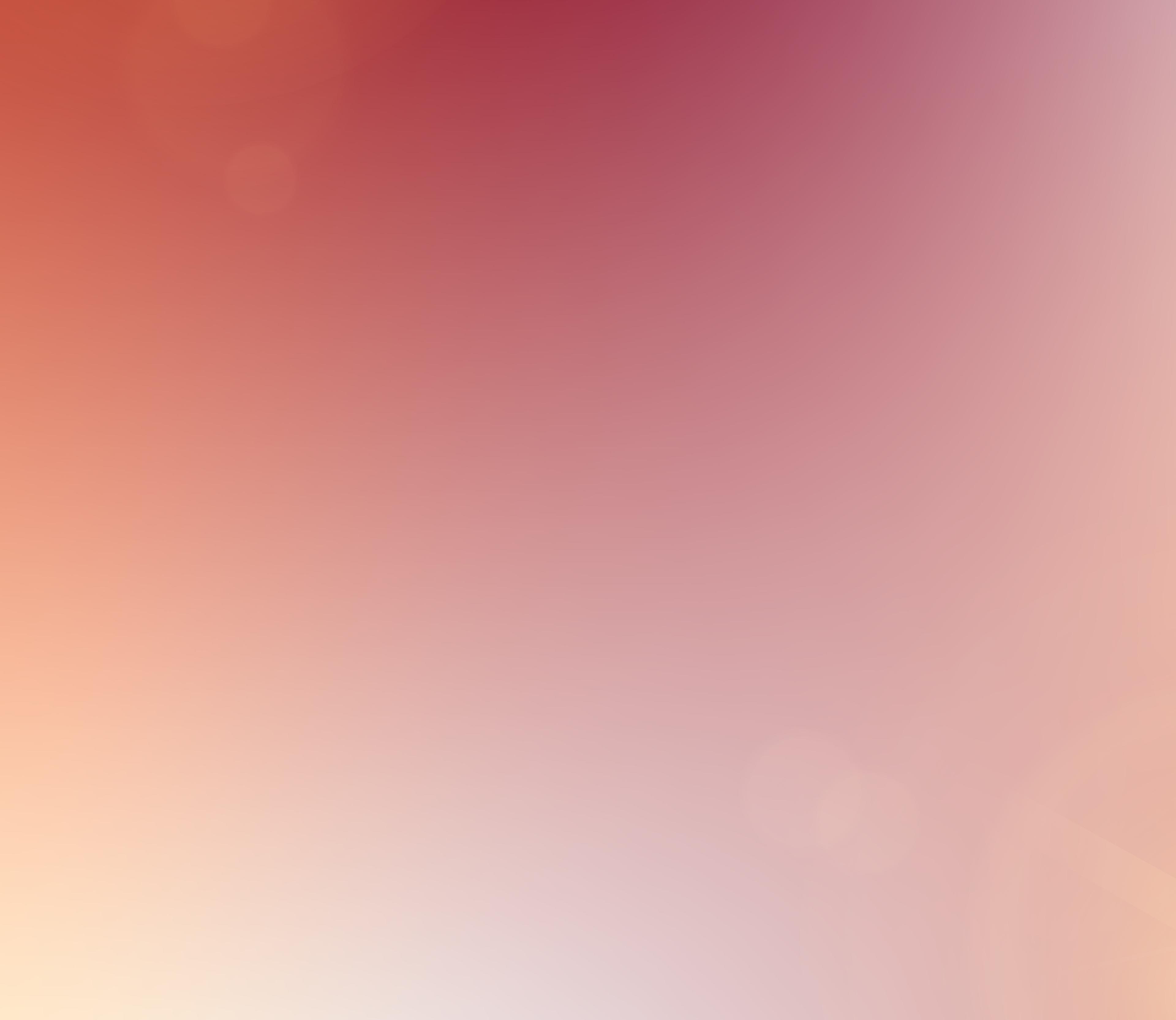 Header Decorative Image